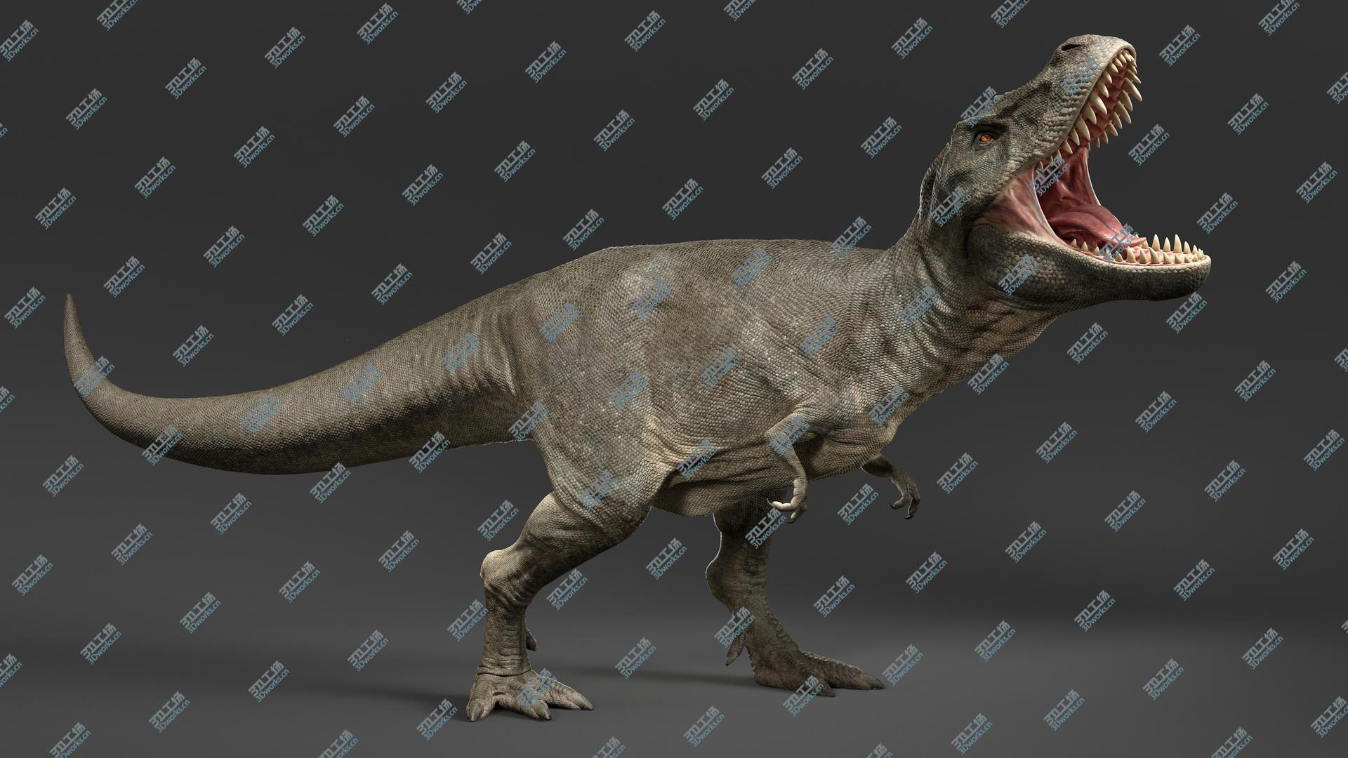 images/goods_img/20210319/3D Tyrannosaurus Rex Rigged/3.jpg